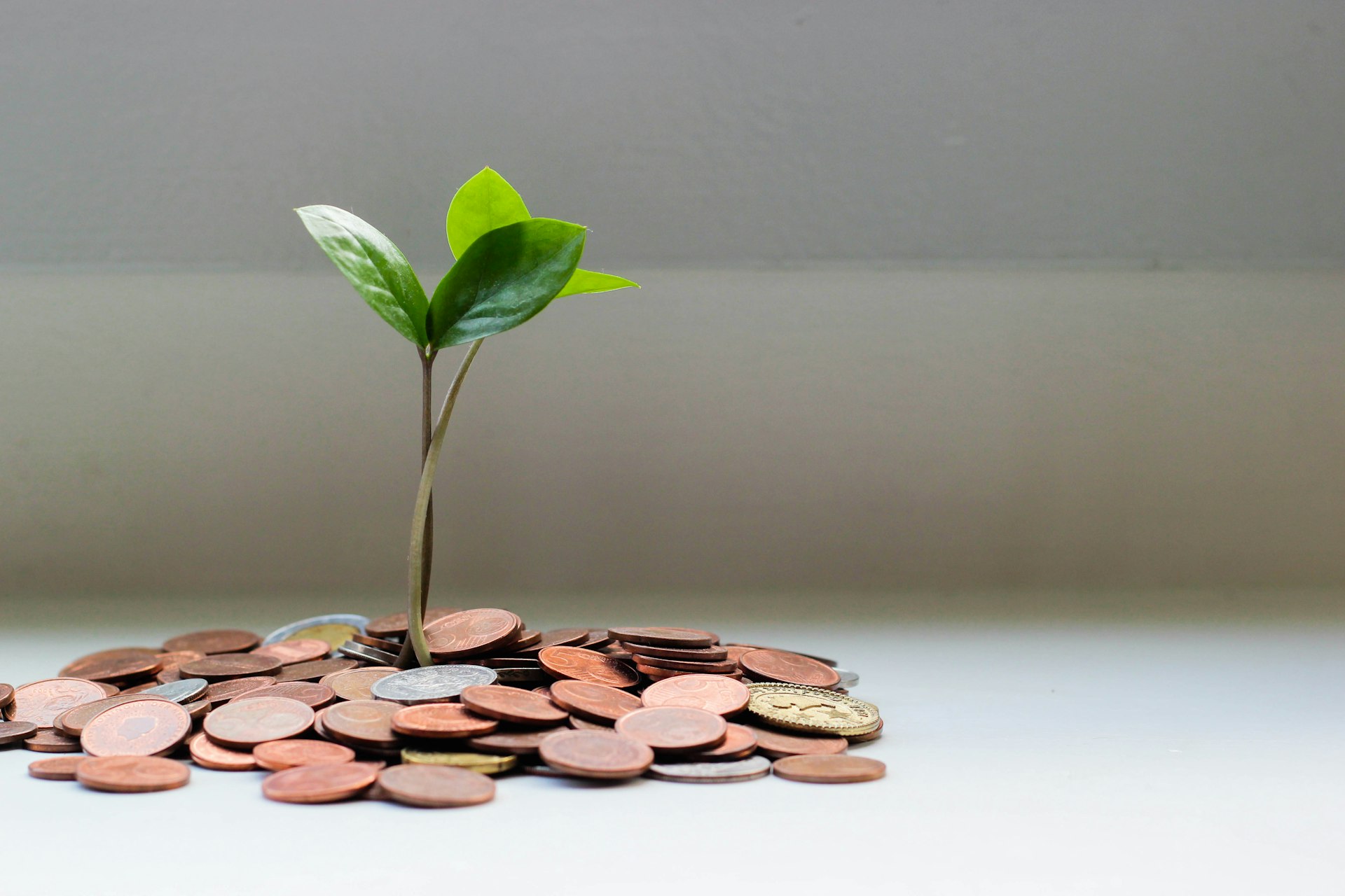 Self Managed Super Funds